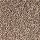 Aladdin Carpet: Soft Dimensions I Coppersheen